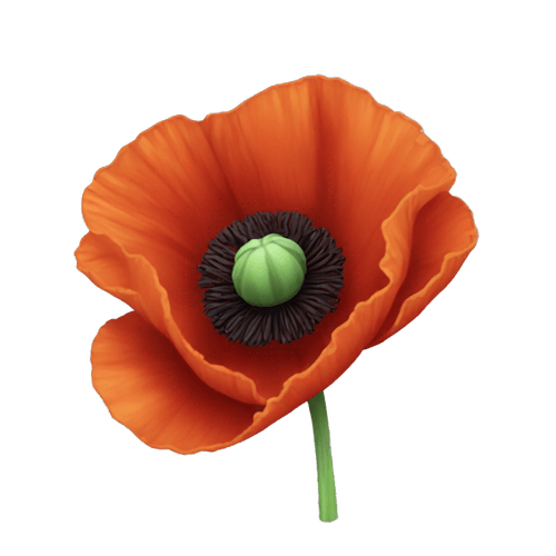poppy